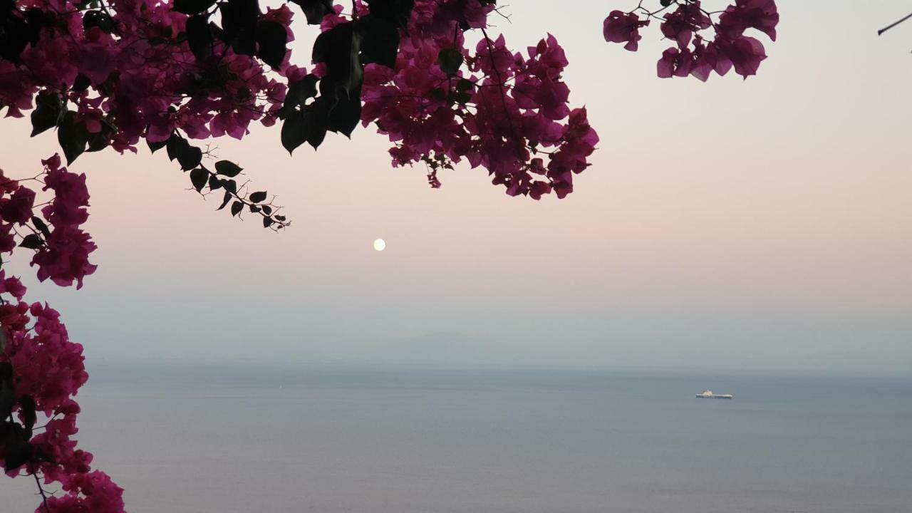 Villa Grace Amalfi Seaview Exterior photo